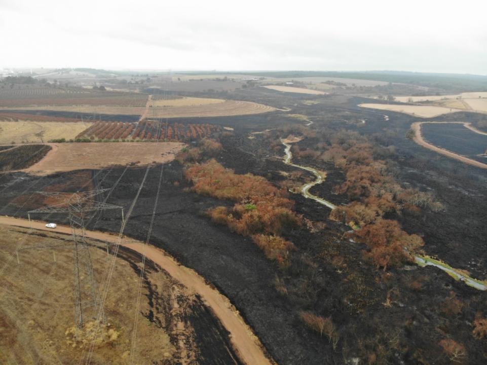 Foto 5 de 8 — Empresa é autuada em mais de R$ 1,4 milhão após queimada destruir área em Matão